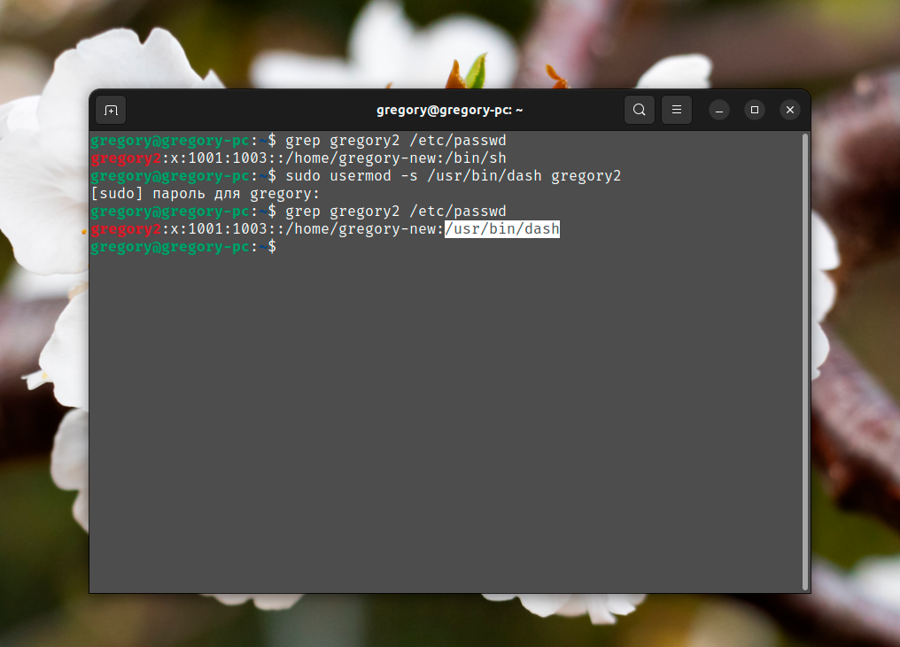 4GoNNU0yuQqGqFVGHDANsgB1l2Iwg7dGjiNPxubdRySJv4Paj2jffvg4sMAAAAASUVORK5CYII=